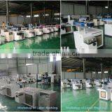 Laser Laser Marking Machine Guangdong Dongguan Manufacturer