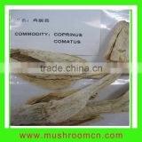 Dried Coprinus Comatus