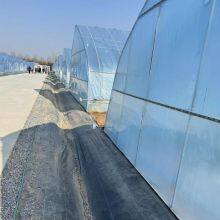 6 Mil Transparent UV Protection Greenhouse Film Vegetable Flower Protection Rain Proof Cover Poly Sheeting thumbnail-4