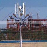 300W Vertical Windmill Blades,wind Generator China