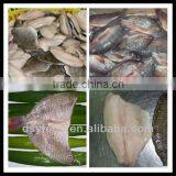 frozen Tilapia fillet fish W/R WGGS WGS