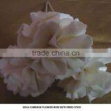 Natural Sola Flower Diffuser