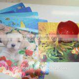 Guangzhou Lifeng 3D Place Mat With Lenticular Effect thumbnail-2