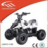 Cool Sports 110cc New Dune Buggy in 2014 for Adults Cheap for Sale thumbnail-1