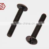 Pan Head Cross Recessed Cut Machine Screw for Garden Tools