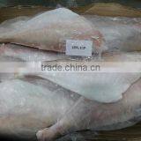 FROZEN LEATHER JACKET HGT thumbnail-1