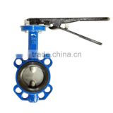 Controls Butterfly Valve 2-12 inch