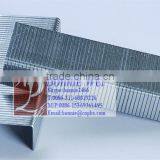 Hot Selling Office Galvanized Staple thumbnail-1
