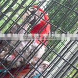 Welded Wire Mesh Price