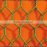 PVC Coated Hexagonal Wire Mesh Chicken Wire Mesh