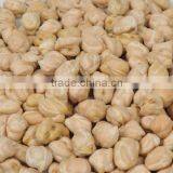 Chickpeas thumbnail-2