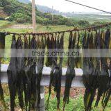 Seaweed Fodder Product Natural Dried Seaweed Flour Kelp Meal Feed Grade thumbnail-4