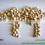 Eakiet 100% FairTrade pure robusta beans