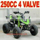 24HP 4 Valve 250cc Quad ATV thumbnail-1