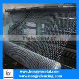 Poultry Wire Fence/Poultry Wire Fence/8 Gauge, 1"Chicken Wire thumbnail-6