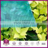 Grade A 6mm Polycarbonate 2-wall Sheet/ 6mm Hollow Sheet/6mm pc Panel thumbnail-3