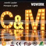 Wedding Backlit Letter thumbnail-4