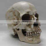 Halloween Decoration Carevd Resin Skull Sculpture thumbnail-1