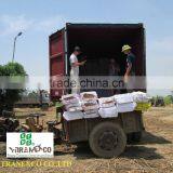 Bamboo Sticks for Agarbatti Incense thumbnail-5