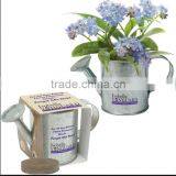 Wholesale Mini Kids Metal Watering Can thumbnail-4