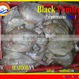 FROZEN W/R BLACK POMFRET thumbnail-1