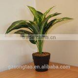 UK-Gardens Artificial Philodendron Xanadu Green Fern Office or House Indoor Plant In A Pot thumbnail-2