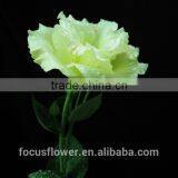 2017 New Cut Fresh Eustomas With Factory Price thumbnail-2