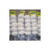 Fresh Garlic thumbnail-1