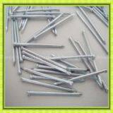 Galvanized t Brad Nails Size thumbnail-1