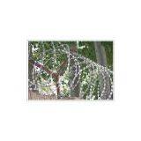 Razor Barbed Wire thumbnail-1