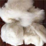 Carded Sheep Wool thumbnail-1