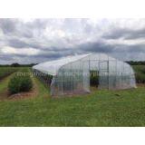 Low Cost Greenhouse of High Quality thumbnail-3