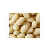Blanched Peanuts