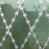 Blade Gill Net/Diameter 550mm BTO-28/Barbed Wire Welding Mesh thumbnail-4