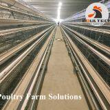 90 Birds of A Type Layer Chicken Cage Equipment for Poultry Farm thumbnail-5