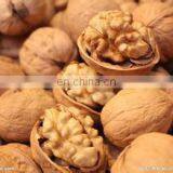 High Efficiency Stainless Walnut /pecan /almond Sheller Machine thumbnail-3