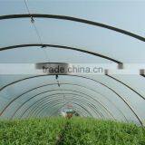 200 Micron Greenhouse Film Hot Selling 200 Micron Greenhouse Film for Wholesales thumbnail-2