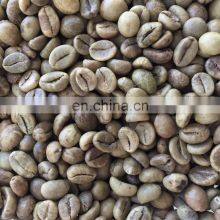 Robusta Coffee Beans thumbnail-2