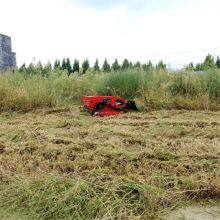 Robotic Slope Mower, China Remote Control Brush Mower Price, Slope Mower Price for Sale