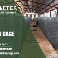 Layer Battery Cage System Poultry Farming Cage Solution for Ogun Nigeria thumbnail-5
