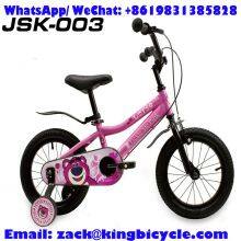 Bike Steel 16
