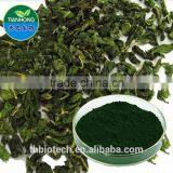 Manufacturer Pure Natural High Quality Chlorophyll Powder, Sodium Copper Chlorophyllin, Super Chlorophyll Powder