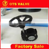 VP-LY-010 butterfly valve worm gear head of any small size
