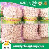 Best Quality Normal White White Garlic thumbnail-3