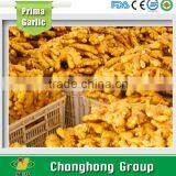 2016 Hot Sale the Lowest Price Ginger thumbnail-1