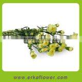 Fragrant Aroma Newest Mini Fresh Cut Carnation in China 2015 thumbnail-3