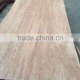 Gurjan Face Veneer/Keruing Face Veneer for Plywood thumbnail-5
