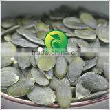 Certified! Pumpkin Seeds Kernels GWS Grade A thumbnail-2