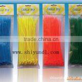 Nylon Material and Self-Locking Type Cable Tie thumbnail-1