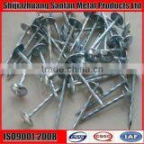 Ring Shank Zinc Galvanized Roofing Nail thumbnail-1